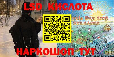 гидра Заводоуковск