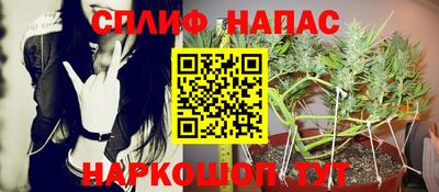 гидра Заводоуковск