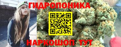 гидра Заводоуковск