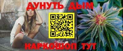 гидра Заводоуковск