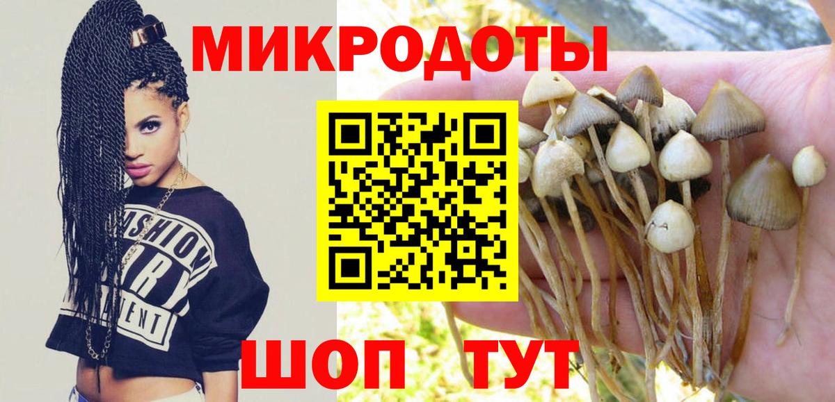Псилоцибиновые грибы Cubensis  даркнет сайт  Майский  Вход с VPN 